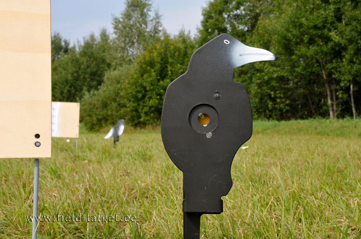 Ja see on haruldane Valgenokk